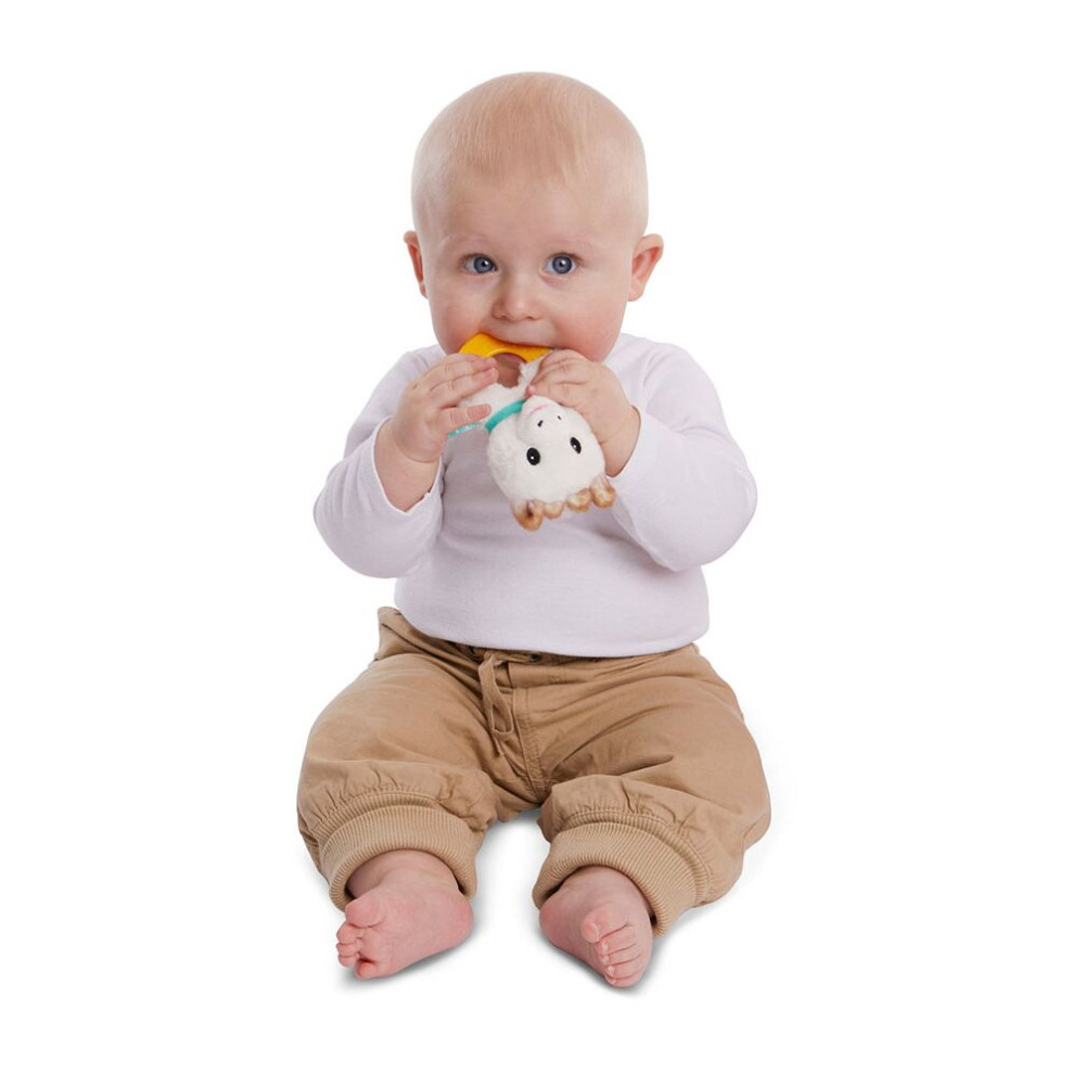 Η φωτογραφία δείχνει Κουδουνίστρα και μασητικό .