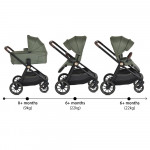 Η φωτογραφία δείχνει Καρότσι Celebrity 2 σε 1, Cangaroo, σχεδιασμένο με γνώμονα τη δυναμική καθημερινότητα των γονέων και την απόλυτη άνεση του παιδιού.