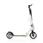 Πτυσσόμενο αλουμινένιο πατίνι με πίσω δισκόφρενο.