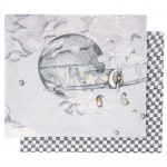 ΣΕΤ ΣΕΝΤΟΝΙΑ