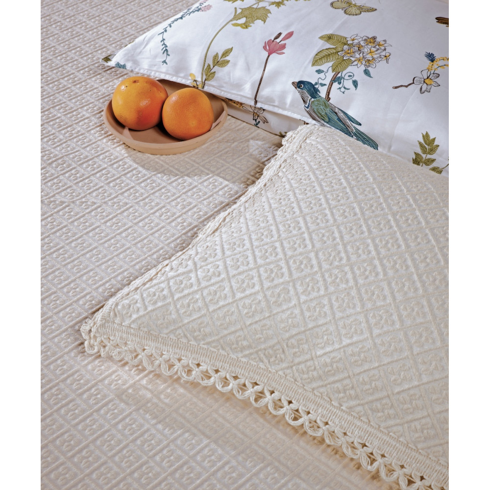 DOROTHY 26 ΜΑΞΙΛΑΡΟΘΗΚΗ ΜΟΝΟΧΡΩΜΟ ΜΕΜΟΝΩΜΕΝΟ ΜΑΞΙΛΑΡΟΘΗΚΗ ΥΠΝΟΥ KENTIA S2023Κλωστές ανα ίντσα: 400gr/m²Σύνθεση: 80% ΒΑΜΒΑΚΙ-20% POLYESTERΔιαστάσεις: (50X70+5)