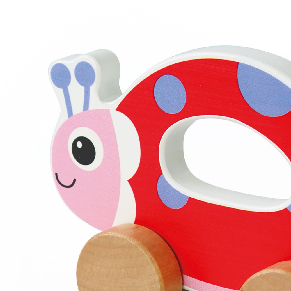 Η φωτογραφία δείχνει OOPS ΞΥΛΙΝΗ ΠΑΣΧΑΛΙΤΣΑ ΜΕ ΡΟΔΕΣ 6M+.