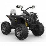 Παιδική ηλεκτροκίνητη γουρούνα της εταιρείας Cangaroo κατάλληλο για παιδιά ηλικίας 3 έως 8 ετών με μέγιστο βάρος 30 κιλάΠλαστικοί τροχοίΜε μουσικά εφέ και θύρα MP3/USBΔιακόπτης για κίνηση προς τα εμπρός/πίσωΜπαταρία - 1*12V7AhΔύο κινητήρες κίνησηςΔιαστάσεις:103.