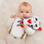 Η φωτογραφία δείχνει Λούτρινο παιχνίδι της εταιρείας Bali Bazoo.