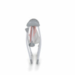 Η φωτογραφία δείχνει Βρεφική ηλεκτρική κούνια-ριλάξ κατάλληλο για παιδιά έως 6 μηνών και με μέγιστο βάρος τα 9 κιλά.