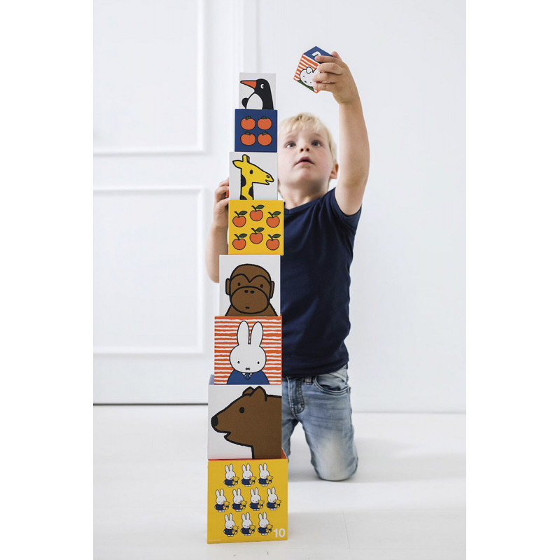 Κύβοι στοίβαξης Miffy, 10 τεμάχια.