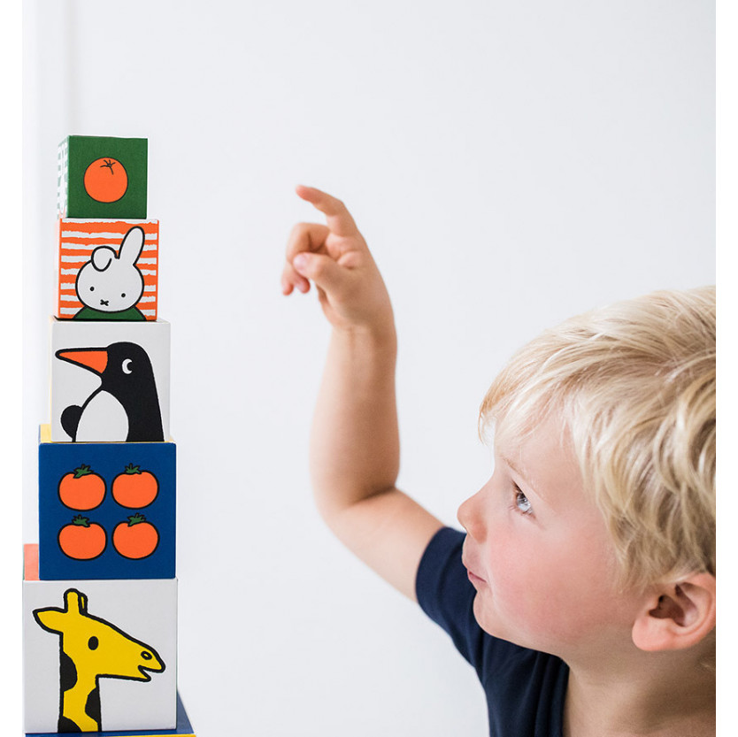 Κύβοι στοίβαξης Miffy, 10 τεμάχια.