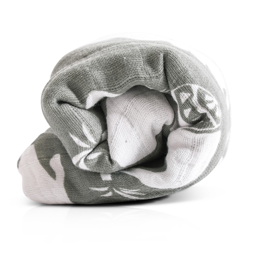 Η φωτογραφία δείχνει ΠΑΝΕΣ ΜΟΥΣΕΛΙΝΑΣ ΤΗΣ ΕΤΑΙΡΕΙΑΣ CANGAROO.