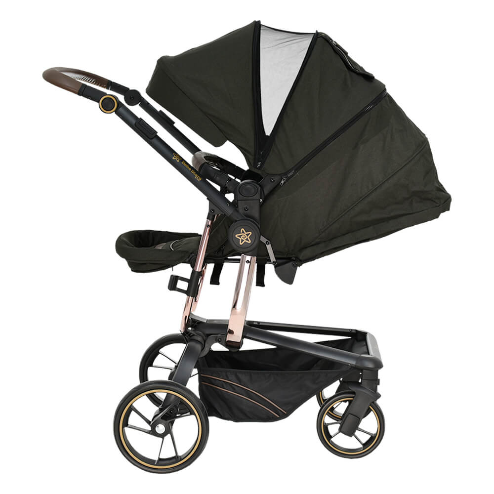 Πολυκαρότσια