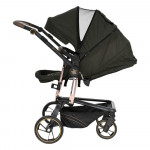 Πολυκαρότσια