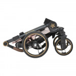 Πολυκαρότσια