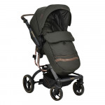 Πολυκαρότσια