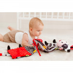 Το πρώτο βιβλίο του μωρού που θα φωτίζει κάθε μέρα! Είναι κατασκευασμένο από απαλά, ευχάριστα στην αφή υλικά με διάφορες υφές, και στο εσωτερικό του υπάρχουν μερικές εκπλήξεις.