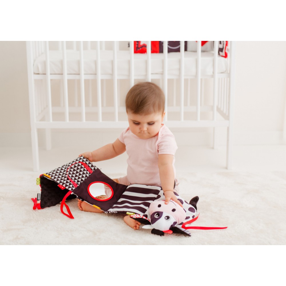 Το πρώτο βιβλίο του μωρού που θα φωτίζει κάθε μέρα! Είναι κατασκευασμένο από απαλά, ευχάριστα στην αφή υλικά με διάφορες υφές, και στο εσωτερικό του υπάρχουν μερικές εκπλήξεις.