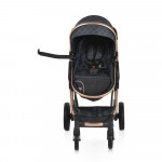 Πολυκαρότσια