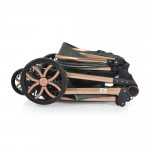 Πολυκαρότσια