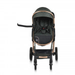 Πολυκαρότσια