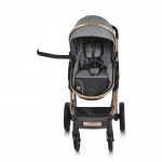 Πολυκαρότσια