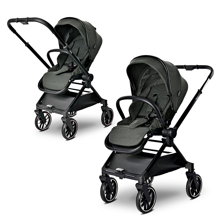 LORELLI ΠΟΛΥΚΑΡΟΤΣΙ 2 ΣΕ 1.