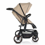 Πολυκαρότσια