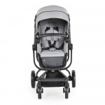 Πολυκαρότσια