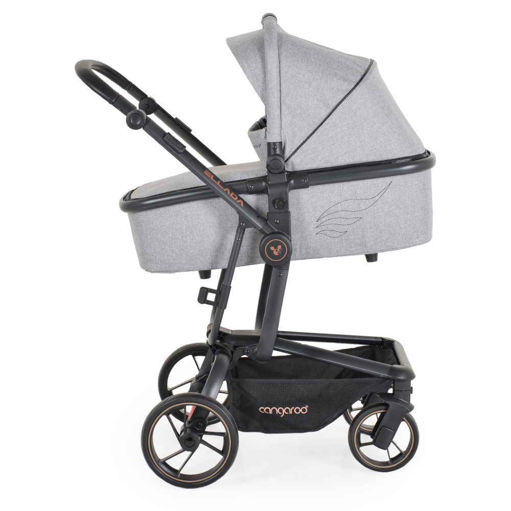 Πολυκαρότσια