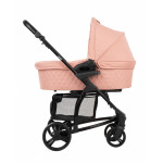 Πολυκαρότσια