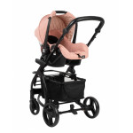 Πολυκαρότσια