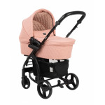 Πολυκαρότσια