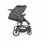 Πολυκαρότσια