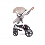 Πολυκαρότσια