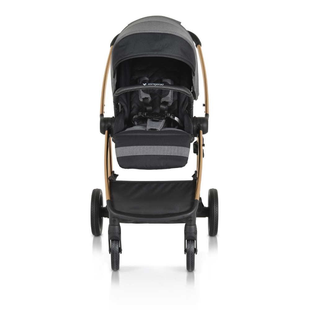 Η φωτογραφία δείχνει CANGAROO ΠΟΛΥΚΑΡΟΤΣΙ ΑΝΤΙΣΤΡΕΨΙΜΟ 2 ΣΕ 1 HYDRA GREY.