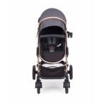 Πολυκαρότσια