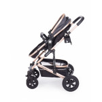 Πολυκαρότσια