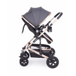 Πολυκαρότσια