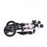 Πολυκαρότσια