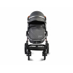 Πολυκαρότσια