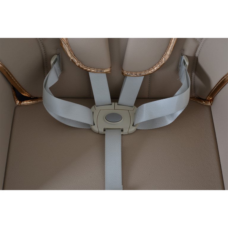 Καρεκλάκι Φαγητού Moni LindoΣετ παιδικό καρεκλάκι,σαλιάρα σιλικόνης,κουτάλι και πιρούνι,μαξιλάρι PU,4 ρόδες με πώματα,δίσκος τροφοδοσίας 2 στρώσεων,4 θέσεις του δίσκου τροφοδοσίας,3 θέσεις πλάτης, 5 θέσεις ύψους,3 θέσεις γωνίας στήριγμα ποδιών,μαξιλαράκια ώμων,σύστημα συγκράτησης 5 σημείων.