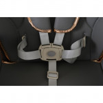 Καρεκλάκι Φαγητού Moni LindoΣετ παιδικό καρεκλάκι,σαλιάρα σιλικόνης,κουτάλι και πιρούνι,μαξιλάρι PU,4 ρόδες με πώματα,δίσκος τροφοδοσίας 2 στρώσεων,4 θέσεις του δίσκου τροφοδοσίας,3 θέσεις πλάτης, 5 θέσεις ύψους,3 θέσεις γωνίας στήριγμα ποδιών,μαξιλαράκια ώμων,σύστημα συγκράτησης 5 σημείων.