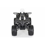 Παιδική ηλεκτροκίνητη γουρούνα της εταιρείας Cangaroo κατάλληλο για παιδιά ηλικίας 3 έως 8 ετών με μέγιστο βάρος 30 κιλάΠλαστικοί τροχοίΜε μουσικά εφέ και θύρα MP3/USBΔιακόπτης για κίνηση προς τα εμπρός/πίσωΜπαταρία - 1*12V7AhΔύο κινητήρες κίνησηςΔιαστάσεις:103.