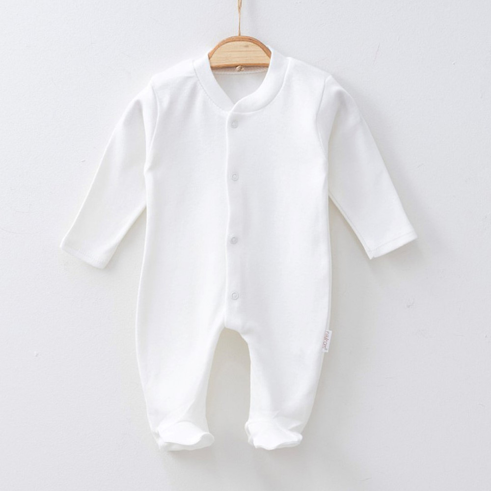 Η φωτογραφία δείχνει 