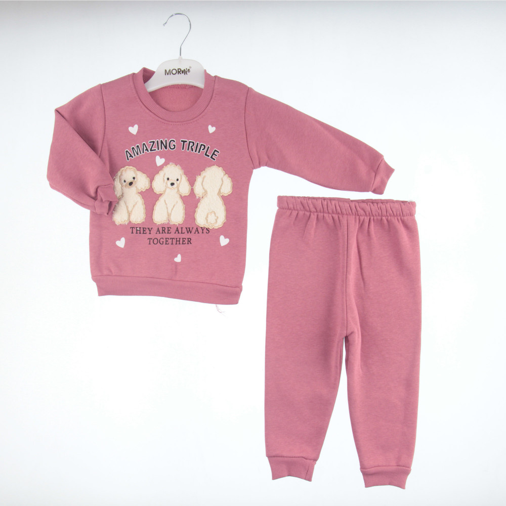 Η φωτογραφία δείχνει ΠΑΙΔΙΚΟ ΣΕΤ ΓΙΑ ΚΟΡΙΤΣΙΜπλούζα-φούτερ μακρυμάνικη με στρογγυλή λαιμόκοψη.